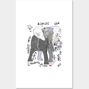 African Elephant, Loxodonta africana Posters and Art